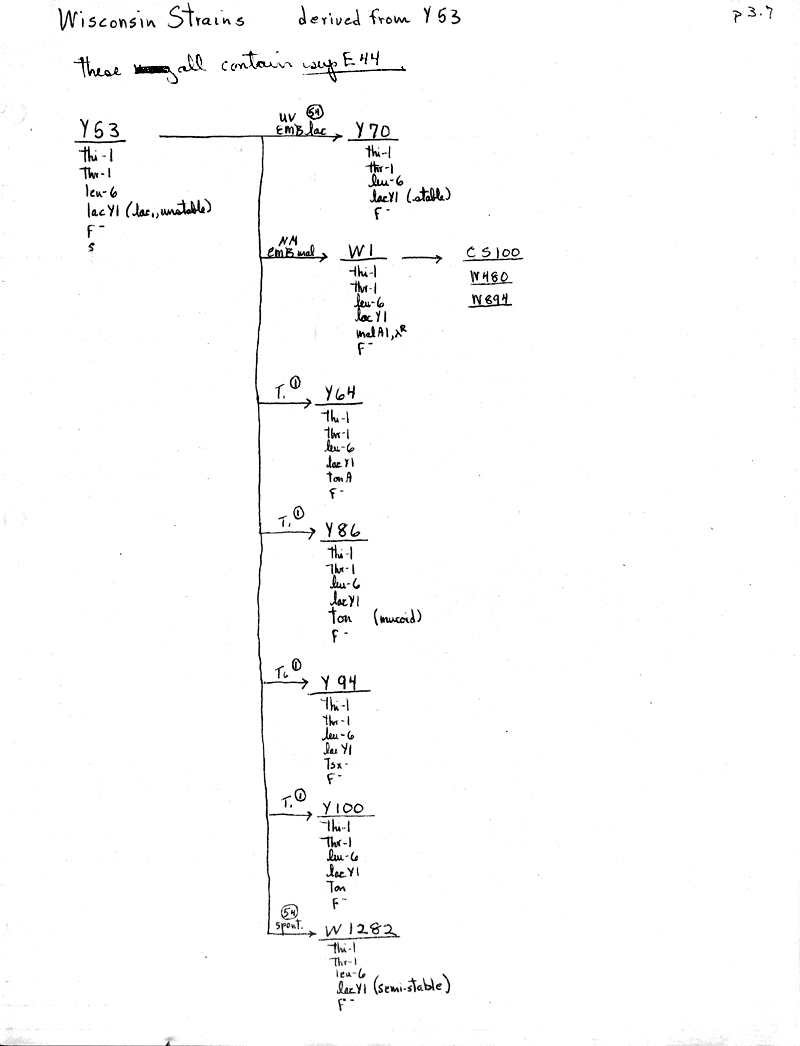 X15 BJBachmann Reconstruction p3.7